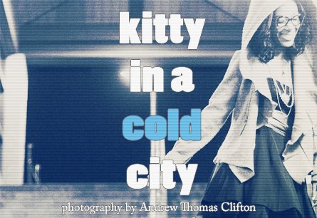 kittyweb kittyweb