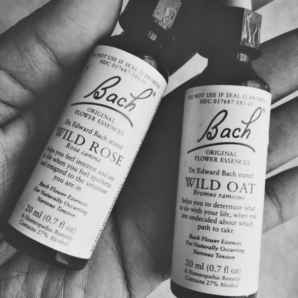 Bach